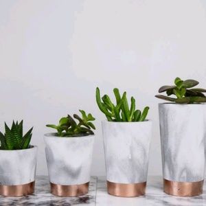 Meet your Posher, Daphne